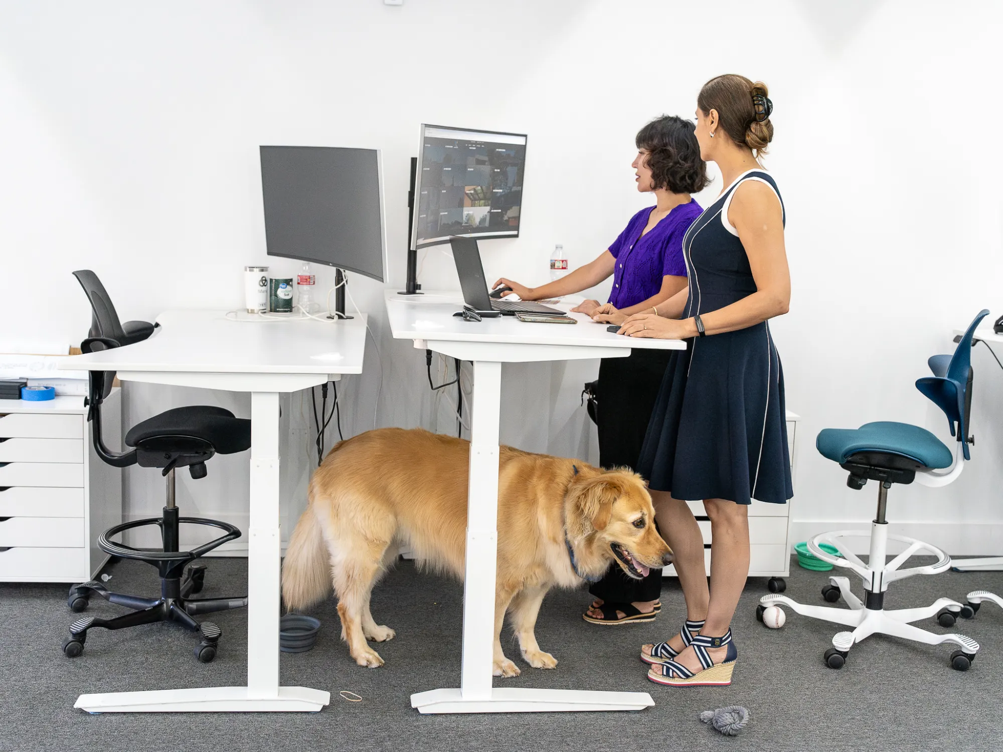 M. DESIGNS ARCHITECTS