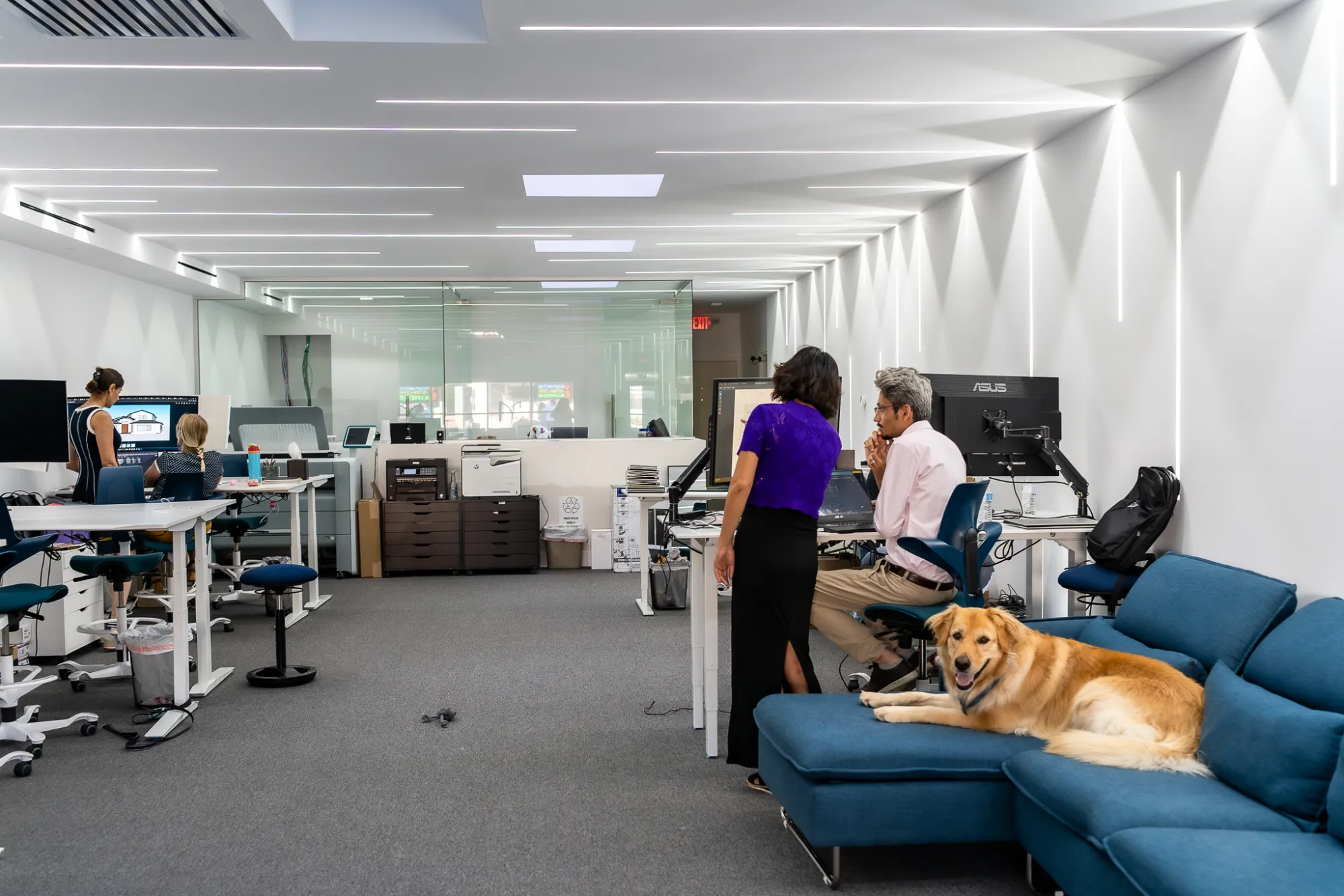 M. DESIGNS ARCHITECTS