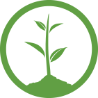 M. DESIGNS ARCHITECTS